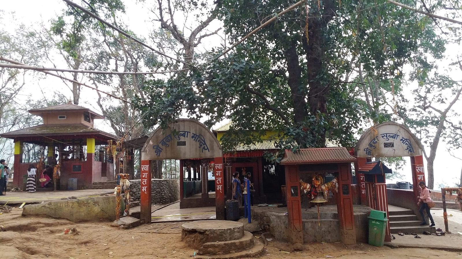 Sacred grove, Budhasubba