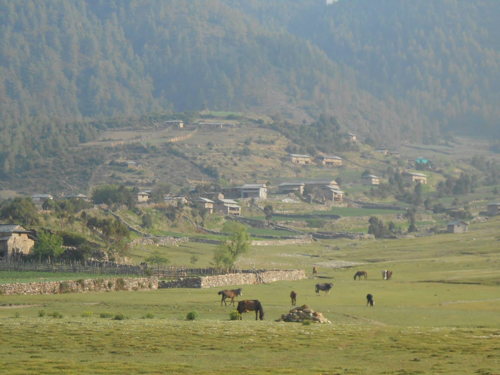 High valley arrival, Dhorpatan