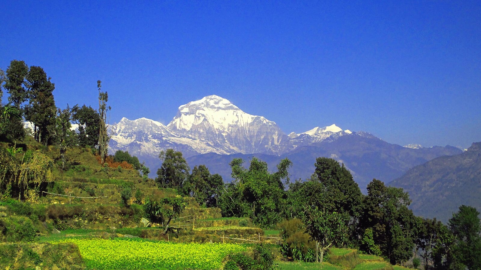 Village and pasture, Bohora Gaun