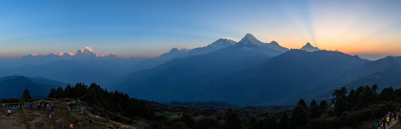 Forest road, Myagdi highlands