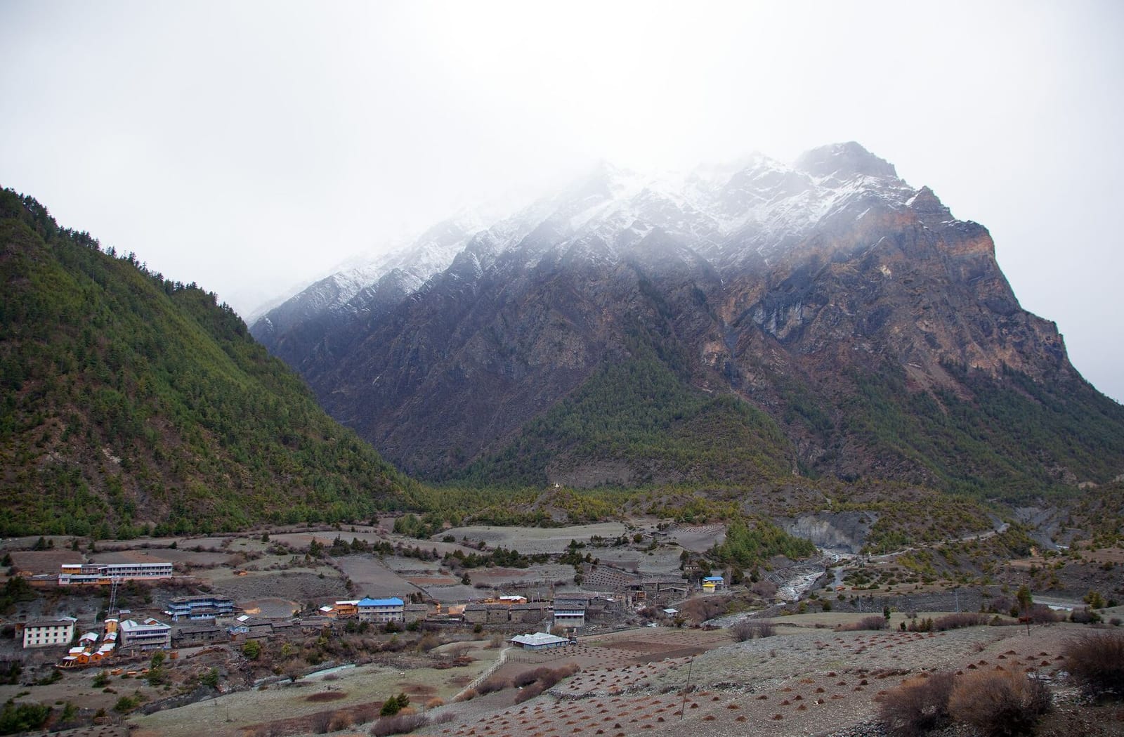 Village rooftops, Pisang