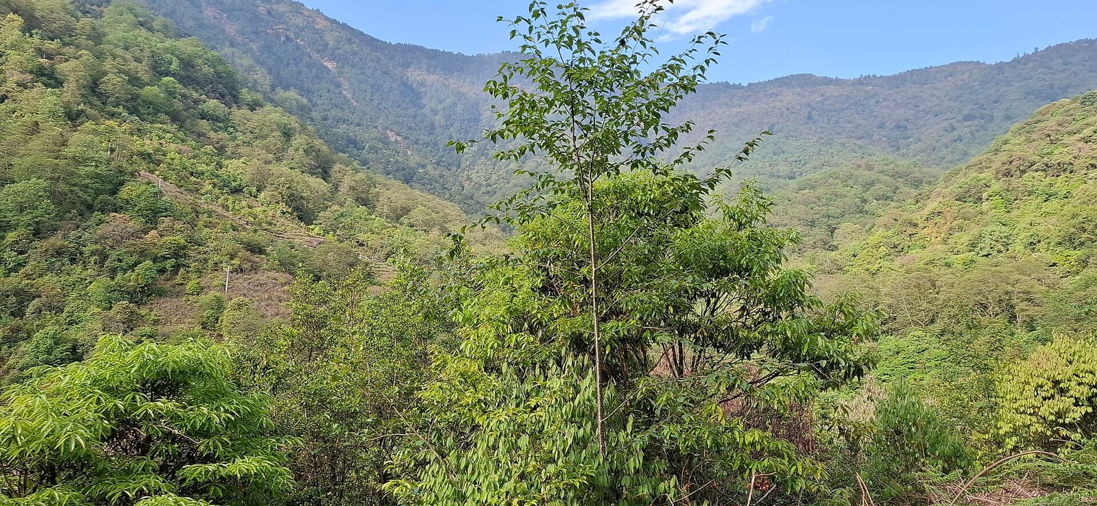 Helambu trailhead, Tarkeghyang
