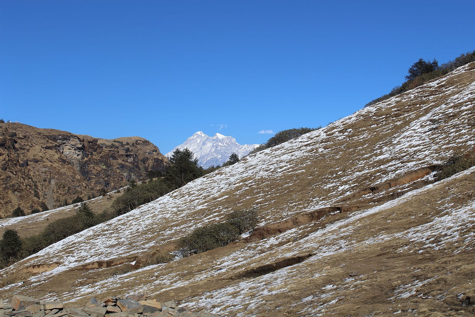 Forest-to-ridge trail, Kuri trail